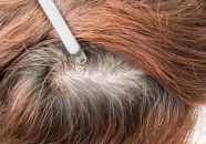 私密长白发,长白山神秘白发之谜